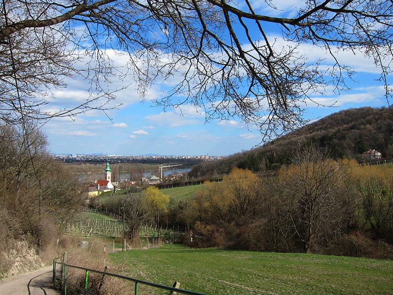 Kahlenberg